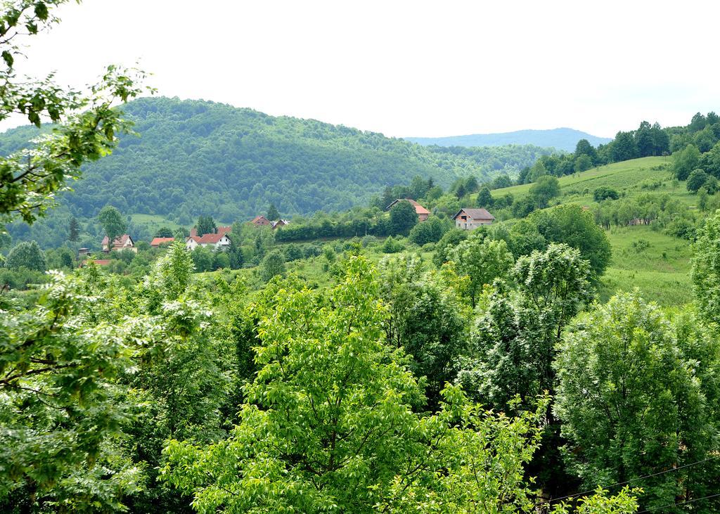 Apartments Zugec Seliste Dreznicko Exterior photo
